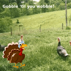 Gobble Til You Gobble Thanksgiving Meme GIF