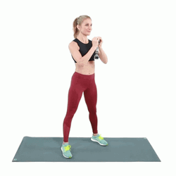 Goblet Squat Fitness Exercise GIF