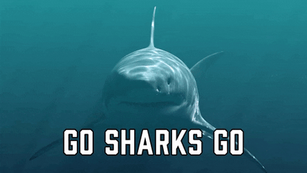 Goblin Shark Said Go Sharks Go GIF