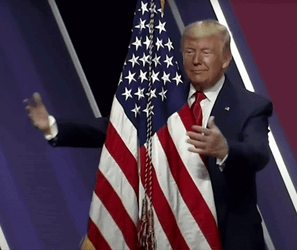 God Bless America Donald Trump Hugging Flag GIF