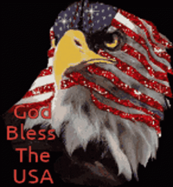 God Bless America Eagle Head Flag Color GIF