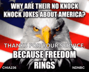 God Bless America Fierce Eagle GIF