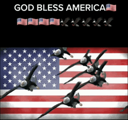 God Bless America Flying Eagles GIF