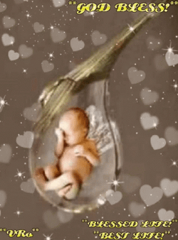God Bless Baby Shower GIF