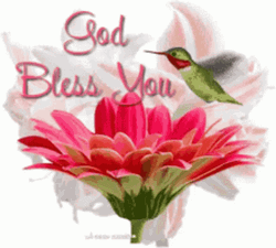 God Bless You Flower Bird GIF