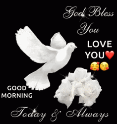 God Bless You Sweet Message GIF