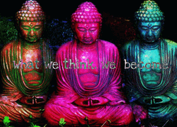 God Bodhi Buddha GIF