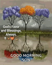 God's Favor Blessed Good Morning Wednesday GIF