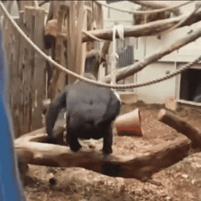 God Sends Special Friends GIF
