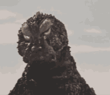 Godzilla Angry Face GIF
