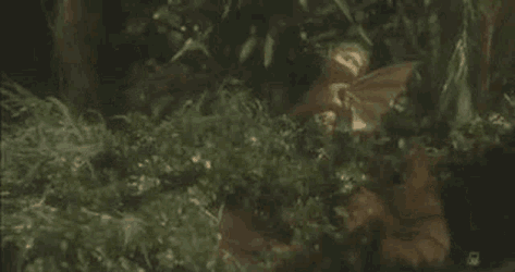 Godzilla Godzilla Vs King Ghidorah GIF