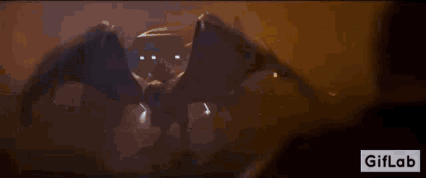 Godzilla Godzilla Vs Kong GIF