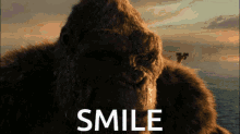 Godzilla Kong Smile GIF