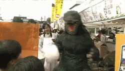 Godzilla Meme Eat Something GIF