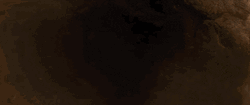 Godzilla Vs Kong Death Stare GIF