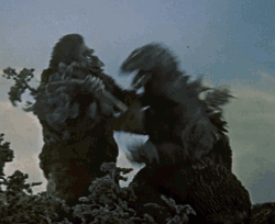 Godzilla Vs Kong Fight In Forest GIF