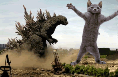 Godzilla Watching Cat Dance GIF