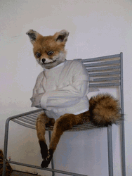 Going Crazy Madness Head Shake Dog Mental GIF