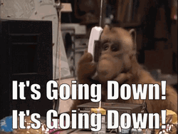 Going Down Alf Vintage Tv Series GIF