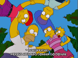 Going Down Simpsons Family Meeting GIF