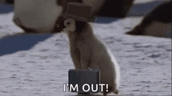 Going Out Penguin Leaving Work GIF