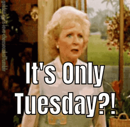 Going Up On A Tuesday Betty White GIF