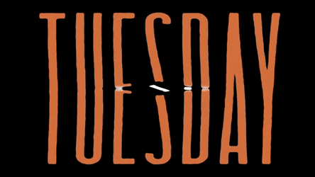 Going Up On A Tuesday Orange Rip GIF