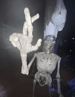 Gojo Satoru Meme GIF