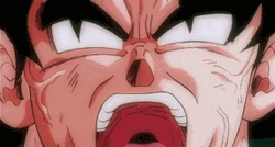 Gok San Goku In Rage GIF