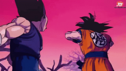 Goku And Vegeta From Dragon Ball Z Are Fighting Each Other In A Cartoon . GIF