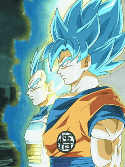 Goku And Vegeta Standing With Chinese Characters GIF