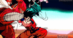 Goku Dragon Ball Z Fight GIF