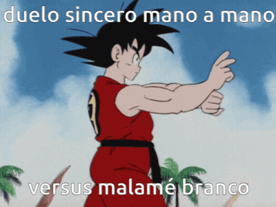 Goku Duelo Sincero Mano A Mano Versus Malame Branco GIF