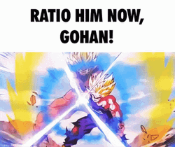 Goku Kamehameha Ratio Him Now GIF