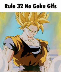 Goku Meme Rule 32 Of Goku GIF