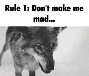 Goku Rules Rule 1 Dont Make Me Mad GIF