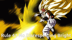 Goku Ssj3 Disrespecting Bright GIF