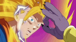 Goku Ssj3 Figthing Beerus  GIF