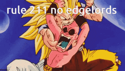 Goku Vs Vegeta Rule 211 GIF