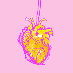 Gold Pink Heart Organ Beating