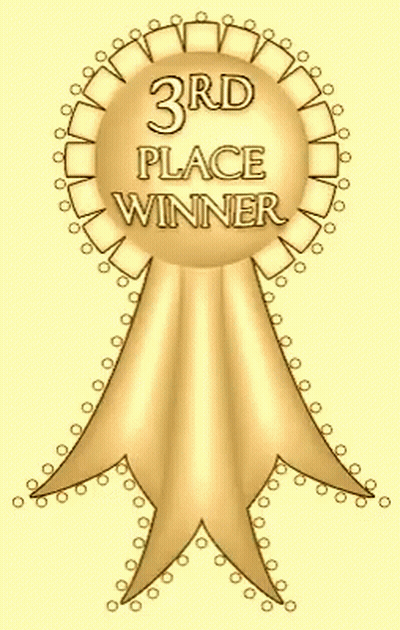 Gold Ribbon Saying 3Rd Place Winner GIF
