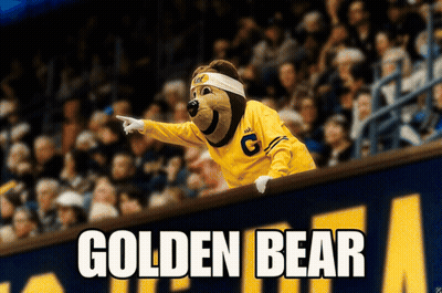 Golden Bear Mascot Pointing Over Fence GIF