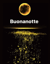 Golden Buonanotte Moon Reflection  GIF