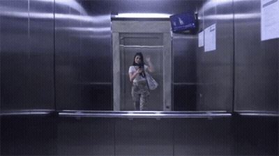 Golden Eagle Saying Golden Eagles GIF