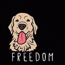 Golden Retriever Best Day Ever Freedom GIF