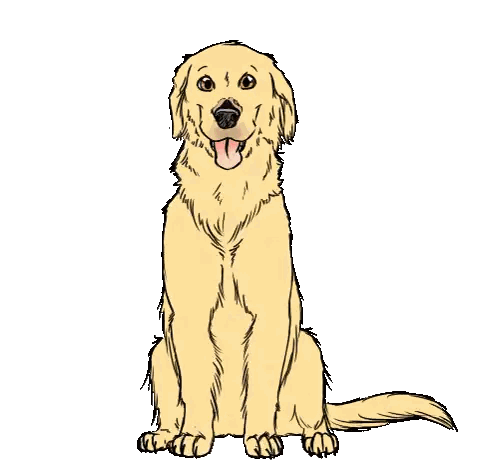 Golden Retriever Sitting Sticker
