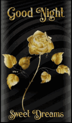Golden Rose Good Night Sweet Dreams GIF