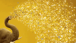 Golden Shower Confetti Rain Elephant Nose Trunk