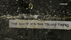 Golden Shower The Hunt For The Trump Tapes GIF