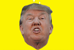 Golden Shower Yellow Rain Donald Trump Meme GIF